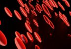 Increase Blood