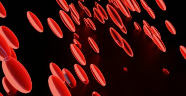 Increase Blood