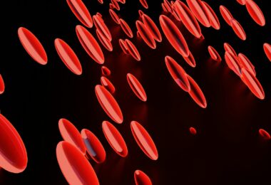 Increase Blood