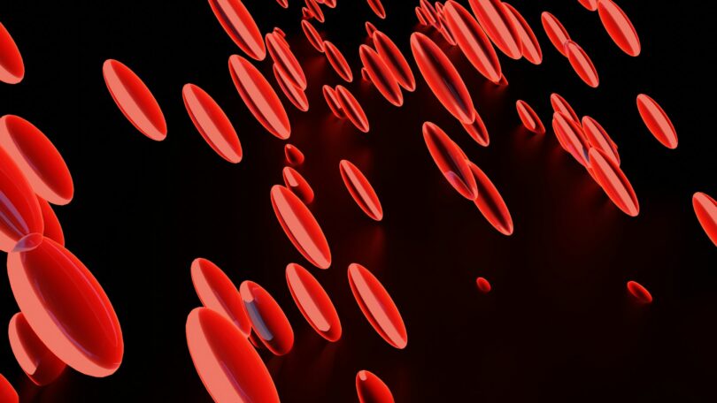 Increase Blood